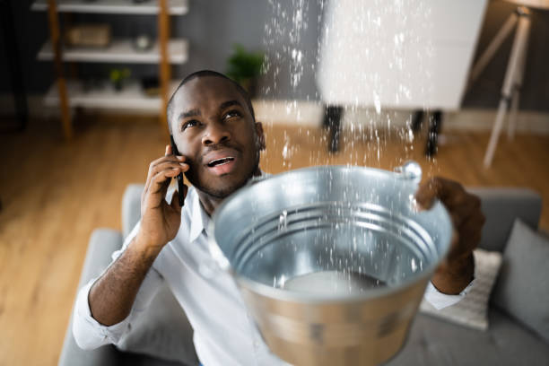 Best Residential water damage restoration  in Prosperity, WV