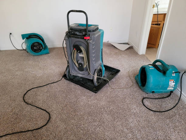 Best Commercial water damage restoration  in Prosperity, WV