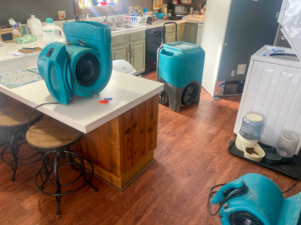 Best 24/7 water damage repair  in Prosperity, WV