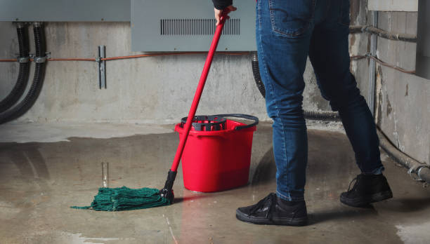 Best 24/7 water damage repair  in Prosperity, WV