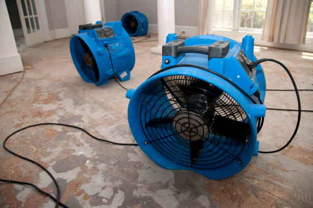 Reliable Prosperity, WV Water damage restoration Solutions