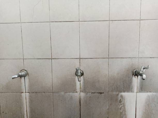 Best Emergency water damage restoration  in Prosperity, WV