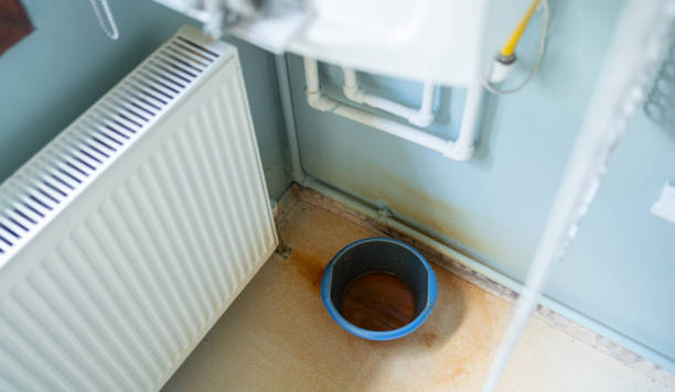 Best Basement water damage restoration  in Prosperity, WV