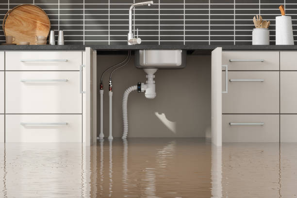 Best Commercial water damage restoration  in Prosperity, WV