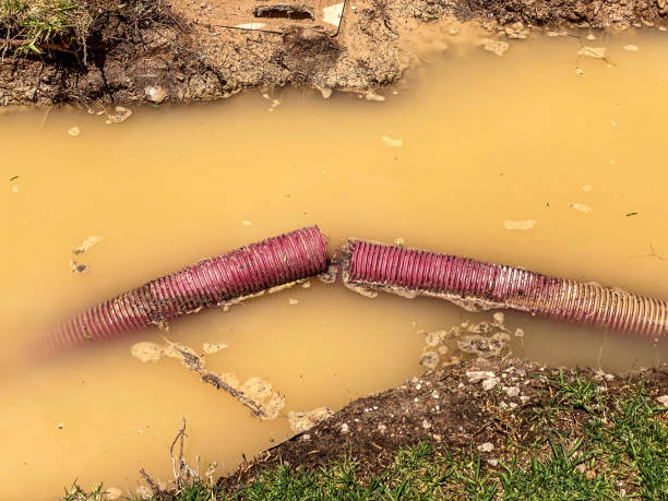 Best Emergency water damage restoration  in Prosperity, WV