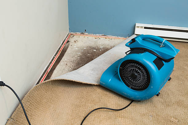 Carpet water damage restoration in Prosperity, WV